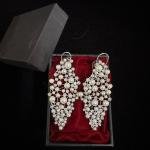 One carat Earrings  OKER0005